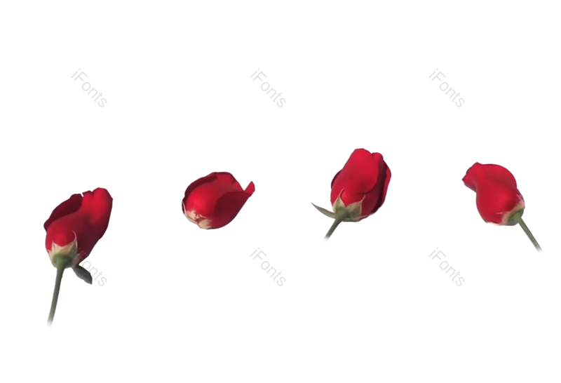 装饰图片,花瓣装饰元素,520PNG,玫瑰花免抠素材